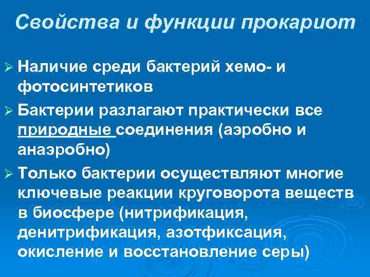 Функции клетки прокариот