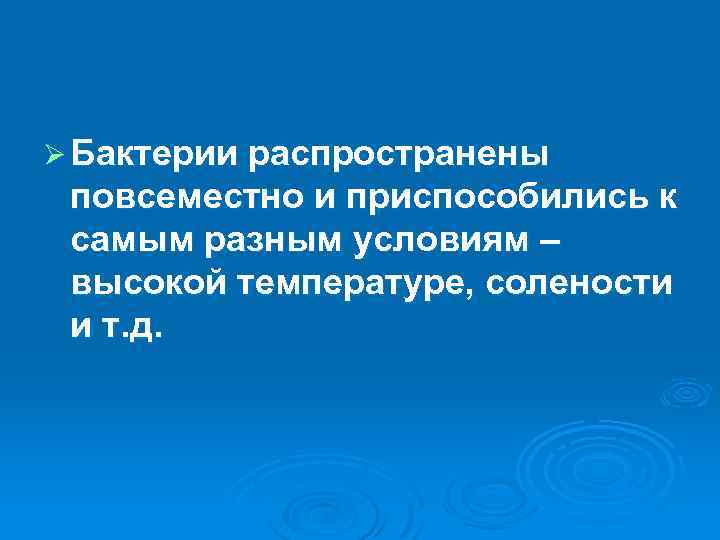 Ø Бактерии распространены повсеместно и приспособились к самым разным условиям – высокой температуре, солености