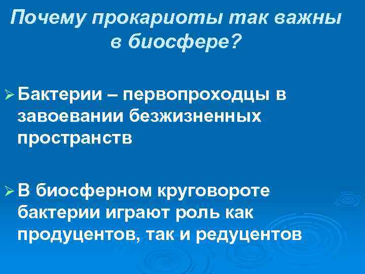 Почему прокариоты так важны в биосфере? Ø Бактерии – первопроходцы в завоевании безжизненных пространств