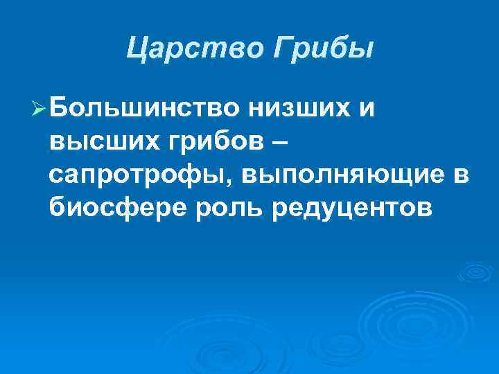 Царство Грибы Ø Большинство низших и высших грибов – сапротрофы, выполняющие в биосфере роль