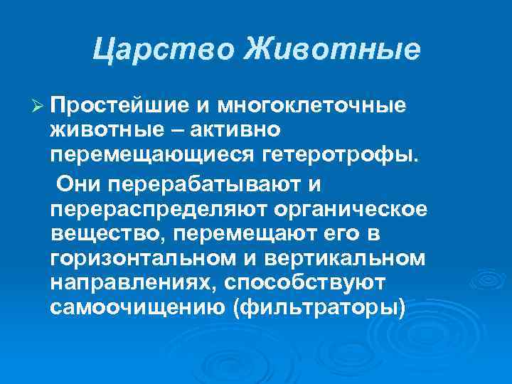 Царство Животные Ø Простейшие и многоклеточные животные – активно перемещающиеся гетеротрофы. Они перерабатывают и