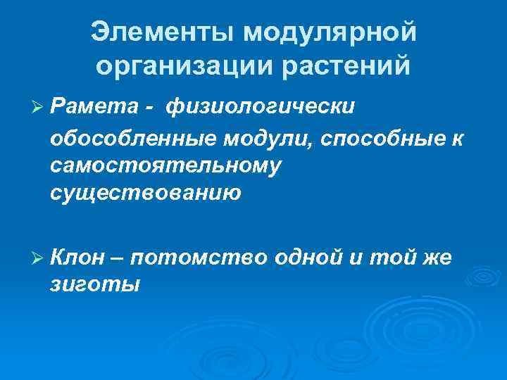 Элементы модулярной организации растений Ø Рамета - физиологически обособленные модули, способные к самостоятельному существованию