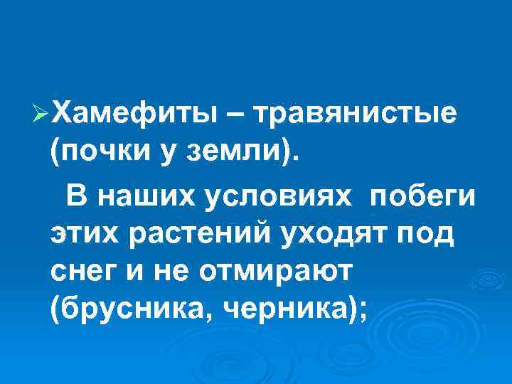 ØХамефиты – травянистые (почки у земли). В наших условиях побеги этих растений уходят под