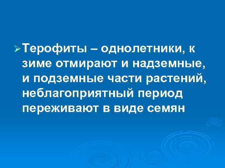 Ø Терофиты – однолетники, к зиме отмирают и надземные, и подземные части растений, неблагоприятный