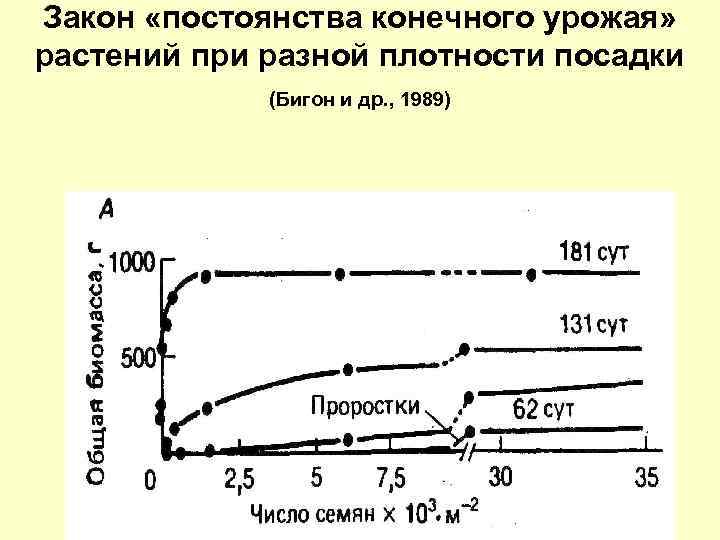 Закон «постоянства конечного урожая» растений при разной плотности посадки (Бигон и др. , 1989)