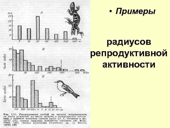  • Примеры радиусов репродуктивной активности 