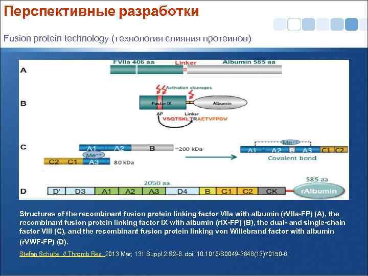 Перспективные разработки Fusion protein technology (технология слияния протеинов) Structures of the recombinant fusion protein