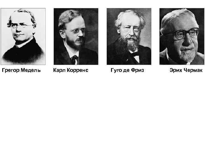 Грегор Медель Карл Корренс Гуго де Фриз Эрих Чермак 