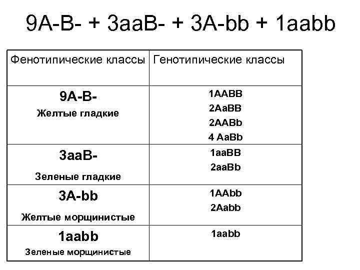 9 А-В- + 3 аа. В- + 3 А-bb + 1 aabb Фенотипические классы