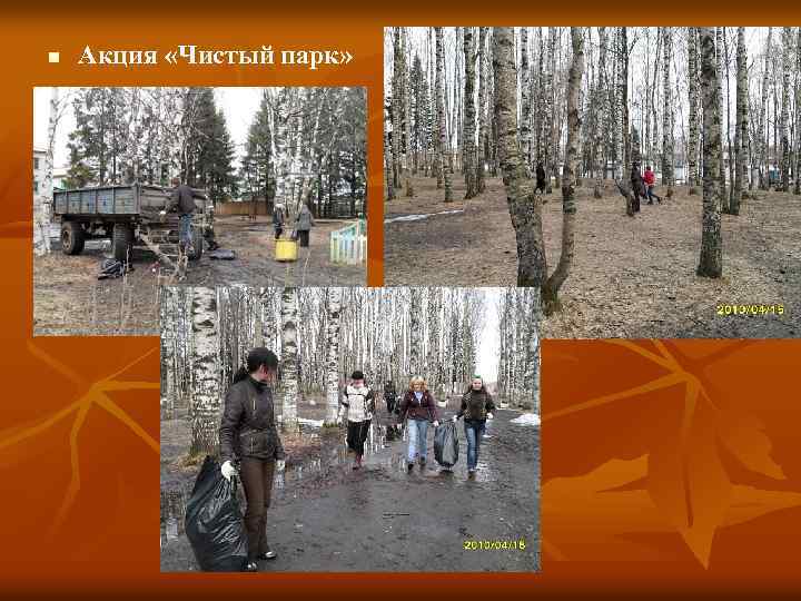 n Акция «Чистый парк» 
