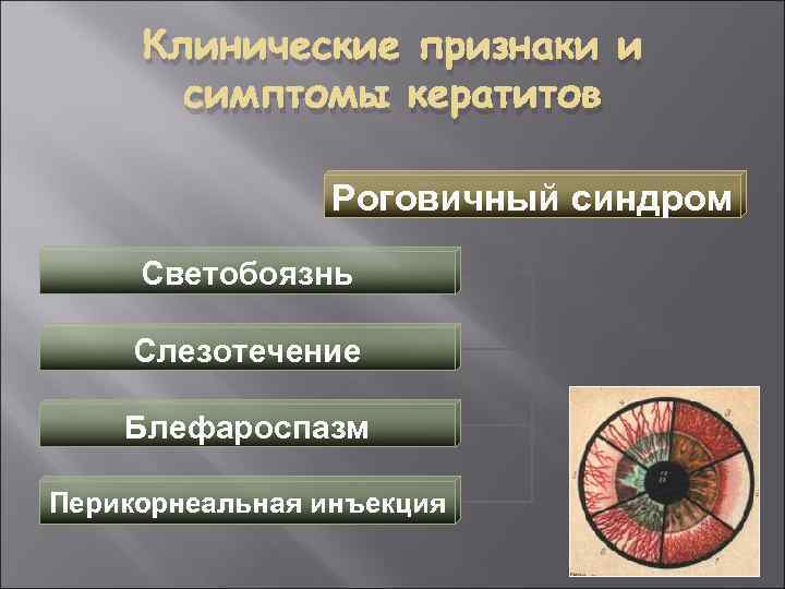 Клинические признаки и симптомы кератитов Роговичный синдром Светобоязнь Слезотечение Блефароспазм Перикорнеальная инъекция 