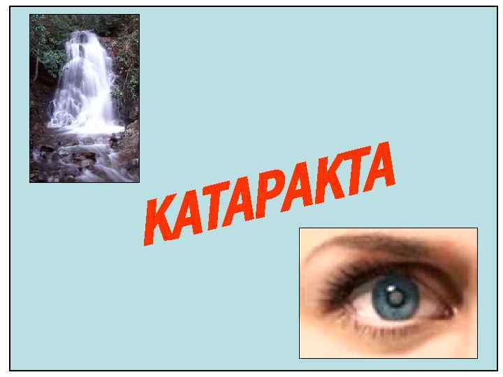 АТ К ТА АК АР 