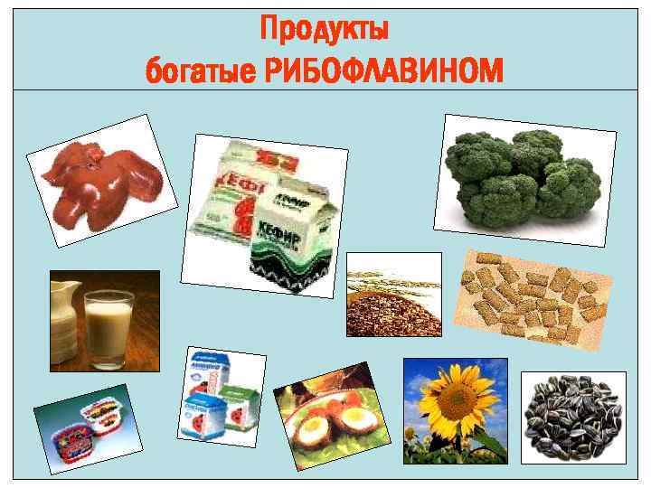 Продукты богатые РИБОФЛАВИНОМ 