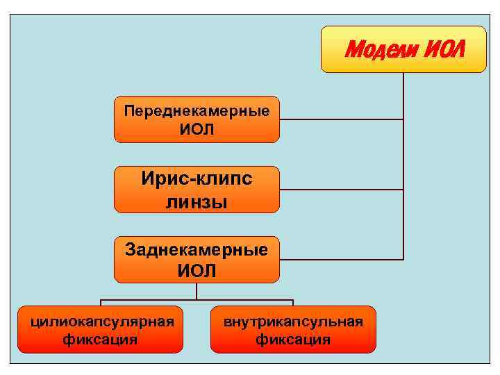 Модели ИОЛ Переднекамерные ИОЛ Ирис-клипс линзы Заднекамерные ИОЛ цилиокапсулярная фиксация внутрикапсульная фиксация 