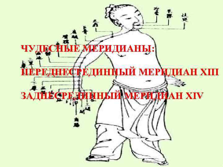 ЧУДЕСНЫЕ МЕРИДИАНЫ: ПЕРЕДНЕСРЕДИННЫЙ МЕРИДИАН XIII ЗАДНЕСРЕДИННЫЙ МЕРИДИАН XIV 