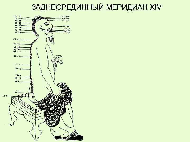 ЗАДНЕСРЕДИННЫЙ МЕРИДИАН XIV 