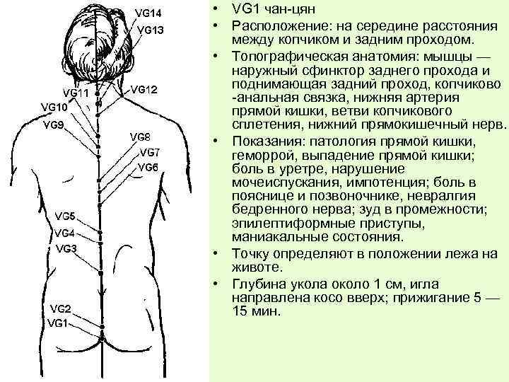 Нижняя точка. Заднесрединный Меридиан расположение точек. Заднесрединный Меридиан Чан Цян копчик расположение. Переднесрединный Меридиан расположение точек. Точка Чан Цян.