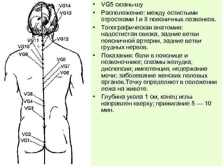  • VG 5 сюань-шу • Расположение: между остистыми отростками I и II поясничных