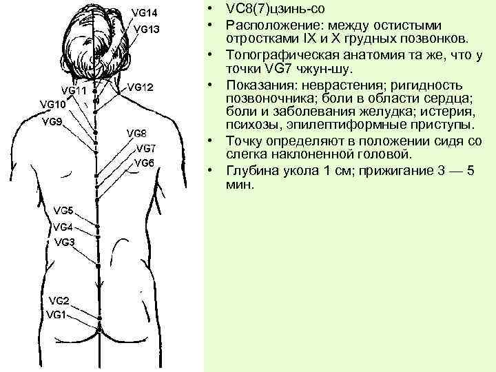  • VС 8(7)цзинь-со • Расположение: между остистыми отростками IX и X грудных позвонков.