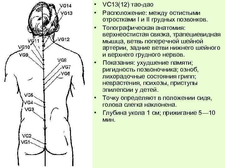  • VС 13(12) тао-дао • Расположение: между остистыми отростками I и II грудных