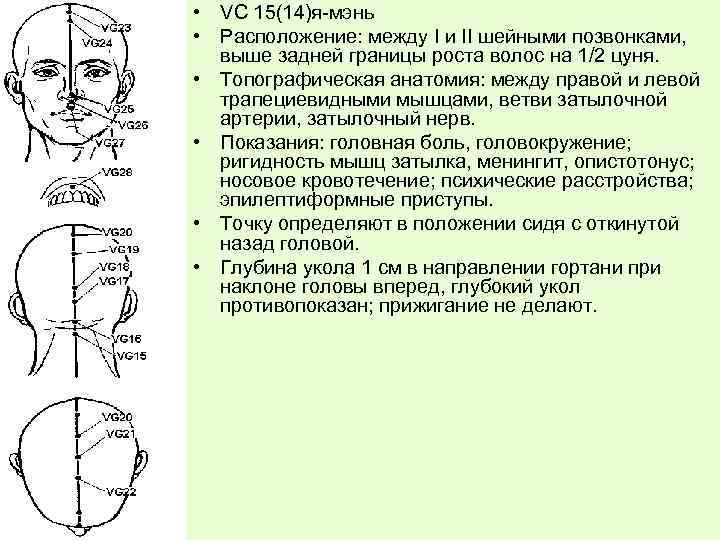  • VС 15(14)я-мэнь • Расположение: между I и II шейными позвонками, выше задней
