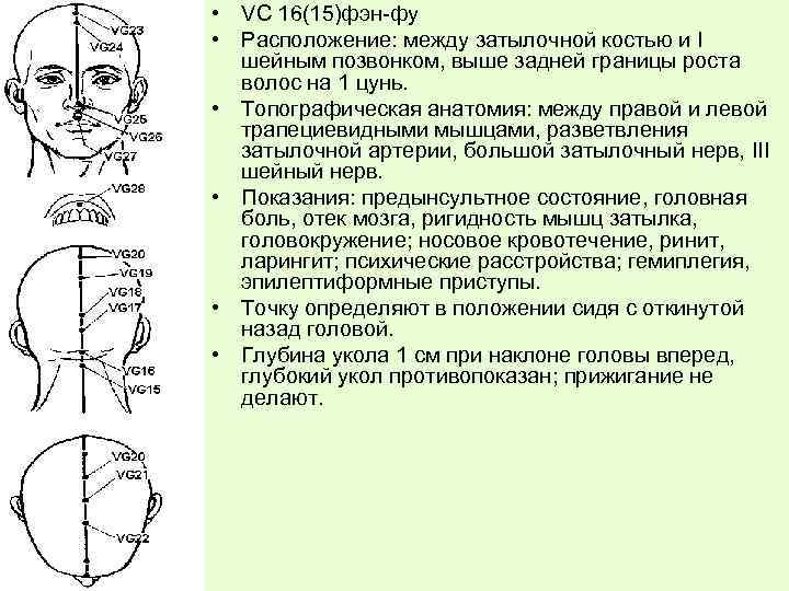  • VС 16(15)фэн-фу • Расположение: между затылочной костью и I шейным позвонком, выше