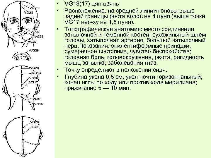  • VG 18(17) цян-цзянь • Расположение: на средней линии головы выше задней границы
