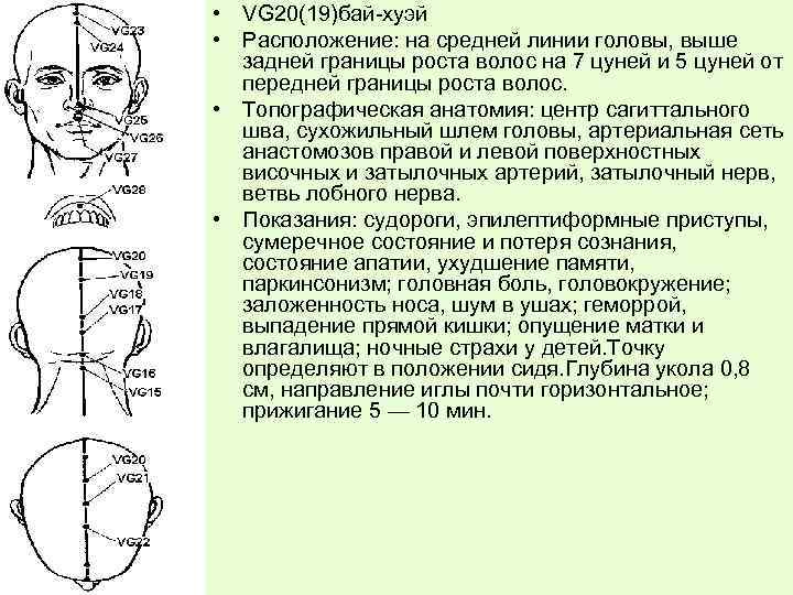  • VG 20(19)бай-хуэй • Расположение: на средней линии головы, выше задней границы роста