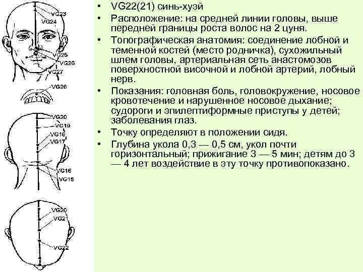 Меридианы на лице человека схема