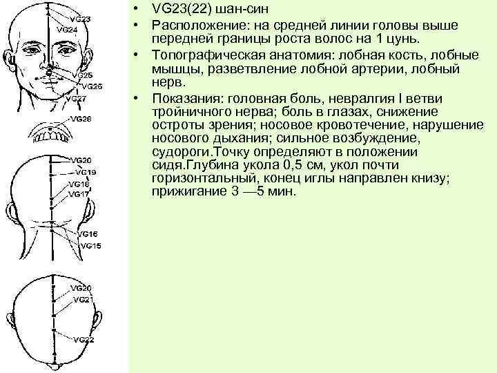  • VG 23(22) шан-син • Расположение: на средней линии головы выше передней границы