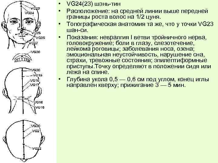  • VG 24(23) шэнь-тин • Расположение: на средней линии выше передней границы роста