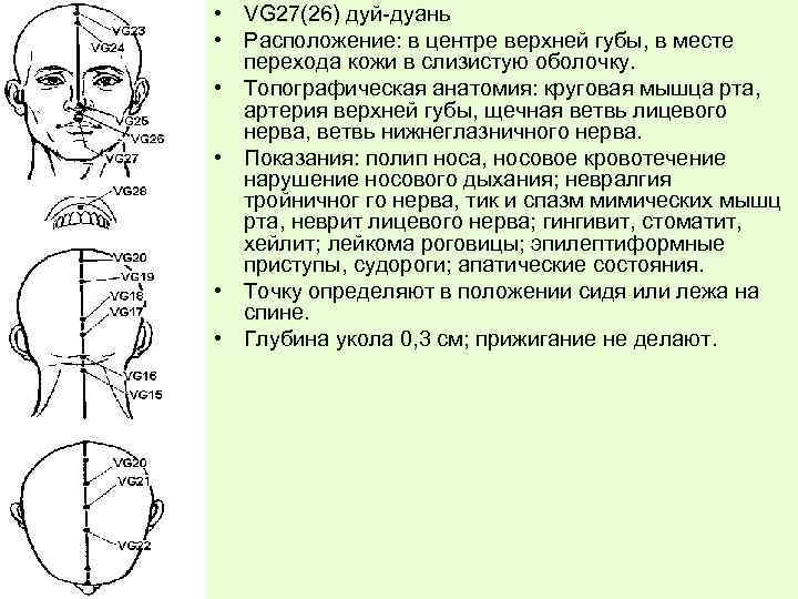  • VG 27(26) дуй-дуань • Расположение: в центре верхней губы, в месте перехода