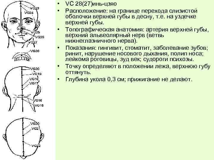 • VС 28(27)инь-цзяо • Расположение: на границе перехода слизистой оболочки верхней губы в