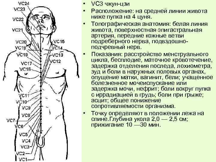  • VC 3 чжун-цзи • Расположение: на средней линии живота ниже пупка на