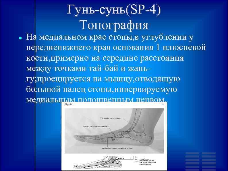 Гунь-сунь(SP-4) Топография На медиальном крае стопы, в углублении у передненижнего края основания 1 плюсневой