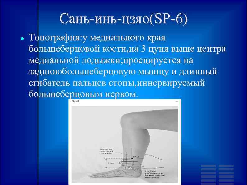 Сань-инь-цзяо(SP-6) Топография: у медиального края большеберцовой кости, на 3 цуня выше центра медиальной лодыжки;