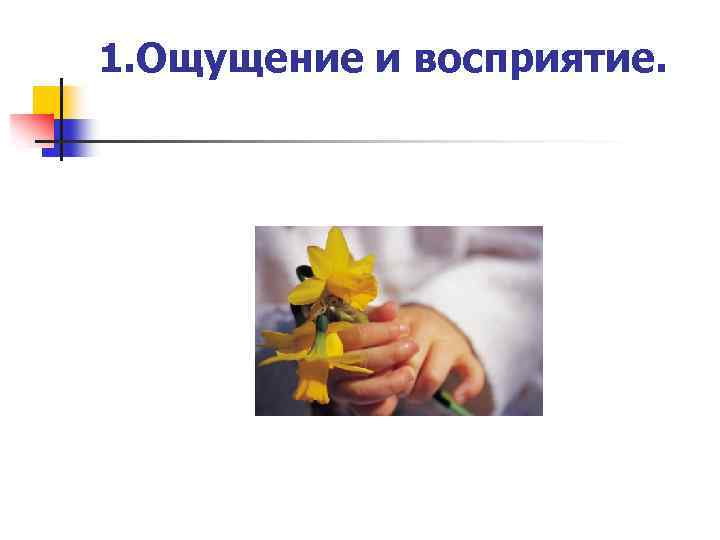 1. Ощущение и восприятие. 