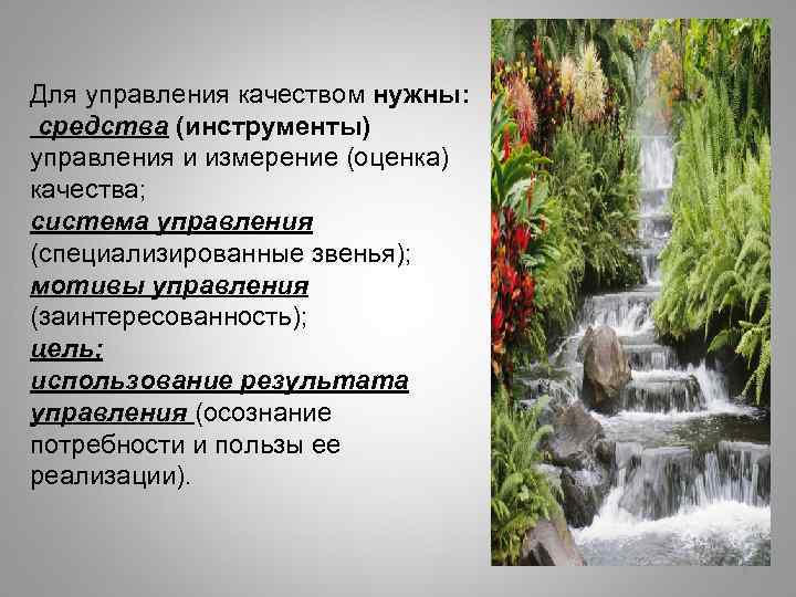 Для управления качеством нужны: средства (инструменты) управления и измерение (оценка) качества; система управления (специализированные