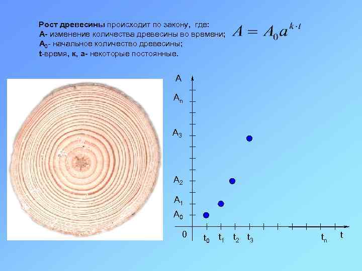 Рост древесины происходит по закону, где: A- изменение количества древесины во времени; A 0