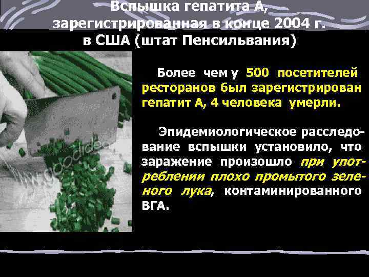 Вспышка гепатита А, зарегистрированная в конце 2004 г. в США (штат Пенсильвания) Более чем