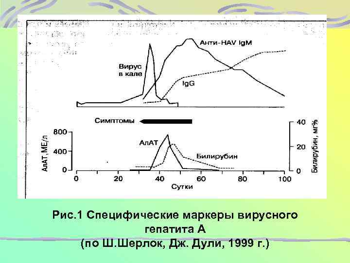 Рис. 1 Специфические маркеры вирусного гепатита A (по Ш. Шерлок, Дж. Дули, 1999 г.