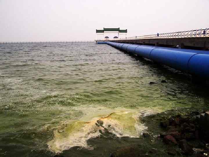 Х вод. Сточные воды в море. Загрязнение гидросферы. Физические загрязнители воды. Физическое загрязнение воды.