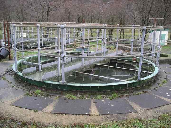 Танковый очиститель воды: 