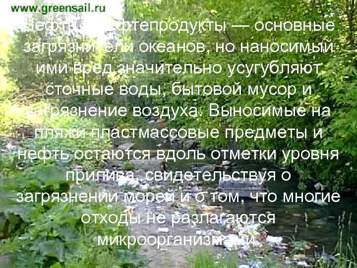 Нефть и нефтепродукты — основные загрязнители океанов, но наносимый ими вред значительно усугубляют сточные