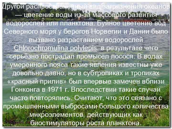 Другой распространённый вид загрязнения океанов — цветение воды из-за массового развития водорослей или планктона.