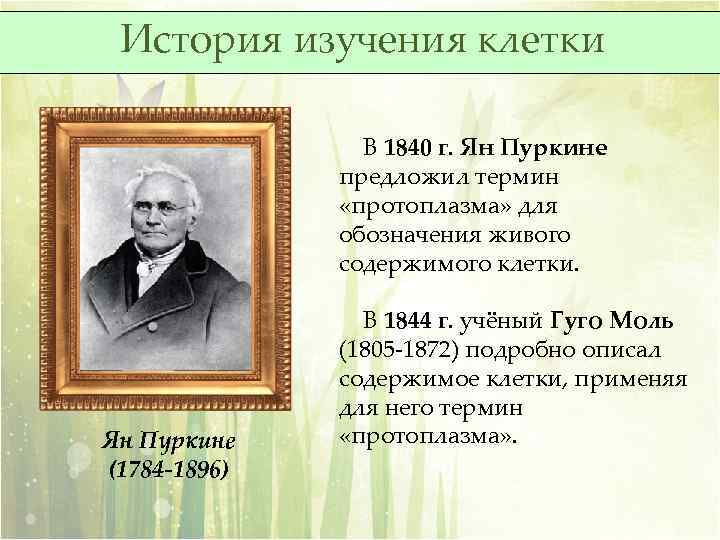 История изучения клетки В 1840 г. Ян Пуркине предложил термин «протоплазма» для обозначения живого