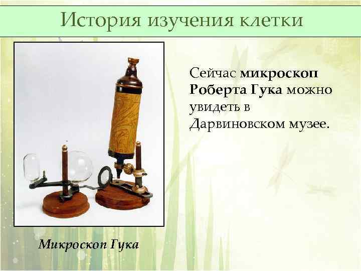 История изучения клетки Сейчас микроскоп Роберта Гука можно увидеть в Дарвиновском музее. Микроскоп Гука