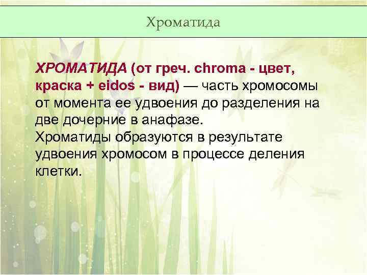 Хроматида ХРОМАТИДА (от греч. chroma - цвет, краска + eidos - вид) — часть