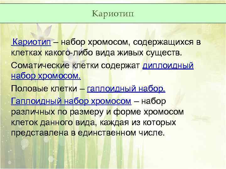 Кариотип – набор хромосом, содержащихся в клетках какого-либо вида живых существ. Соматические клетки содержат