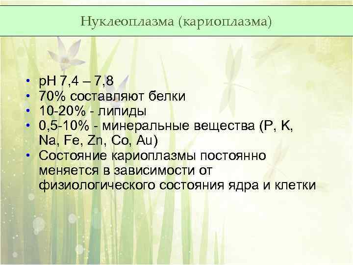 Нуклеоплазма (кариоплазма) • • р. Н 7, 4 – 7, 8 70% составляют белки